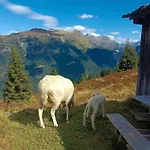 Haus Deule Apartmán *