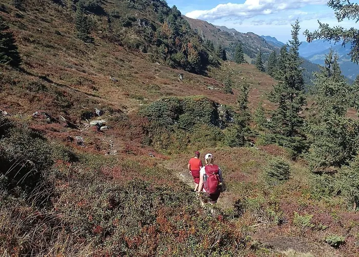Haus Deule Sankt Gallenkirch