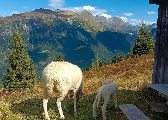 Haus Deule Apartment *